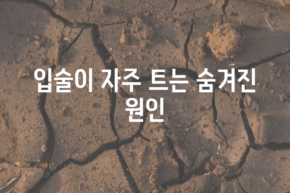 입술이 자주 트는 숨겨진 원인