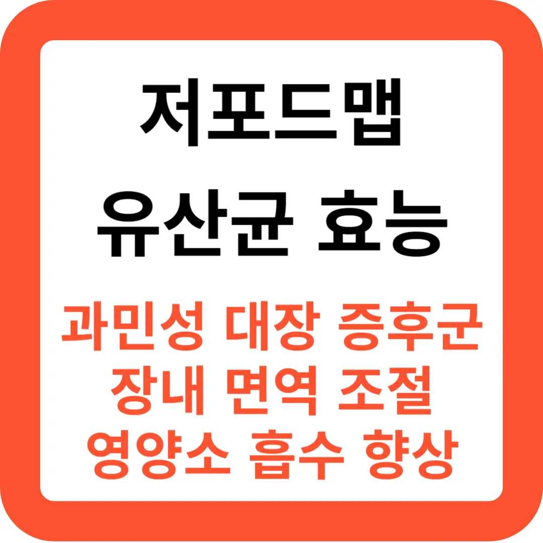 저포드맵-유산균-효능-추천