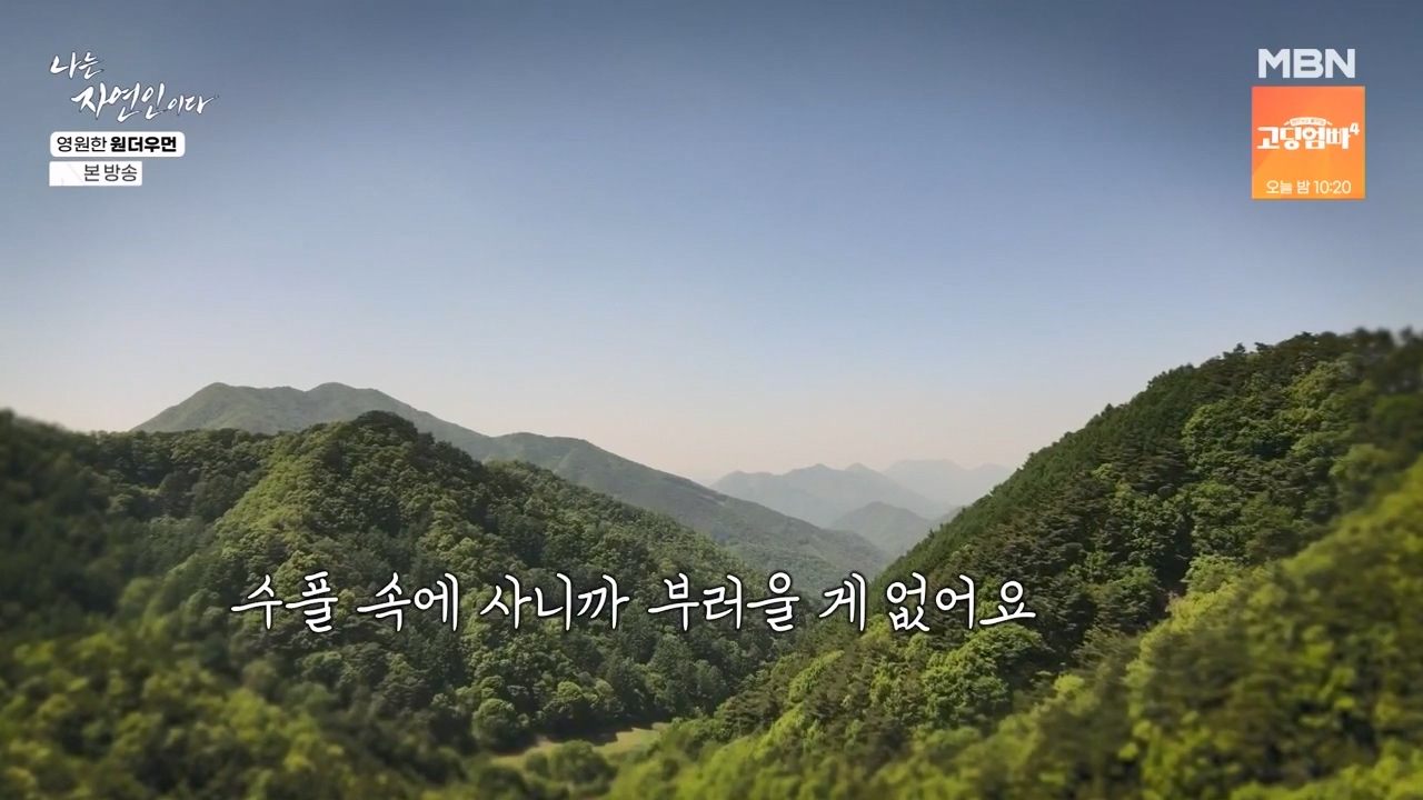 나는 자연인이다.E606.240523p-NEXT.mp4_20240523_195545.087.jpg