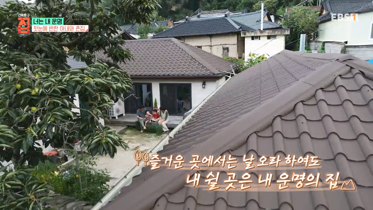 TV - 전 국민의 평생학교 EBS너는 내 운명.mp4_20231123_211349.594.jpg
