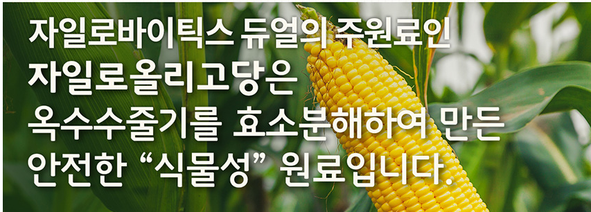 자일리올리고당이 들어간 맛있는 유산균 김수현 유산균 자일리바이오틱스 듀얼 11