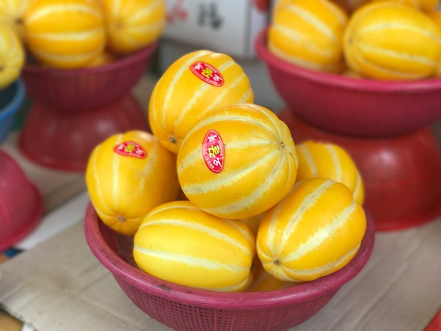 성주 참외