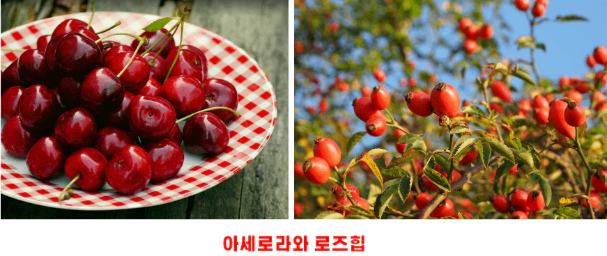 아세로라와 로즈힙