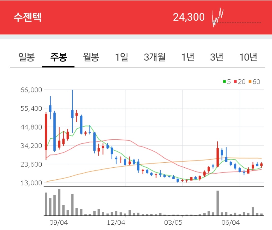 수젠텍 주식 주봉차트