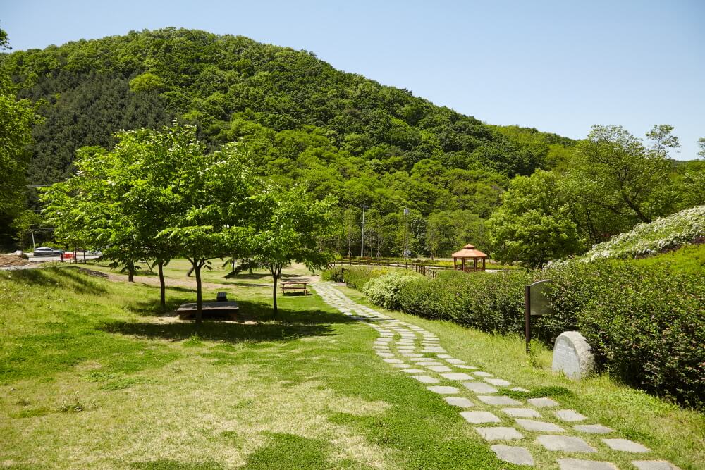 [경기둘레길 파주 8코스 경기평화누리길] 완벽 공략 가이드