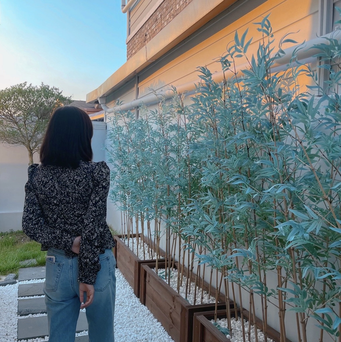  조용히 커피 마시며 산책하기, 정읍 카페 새록