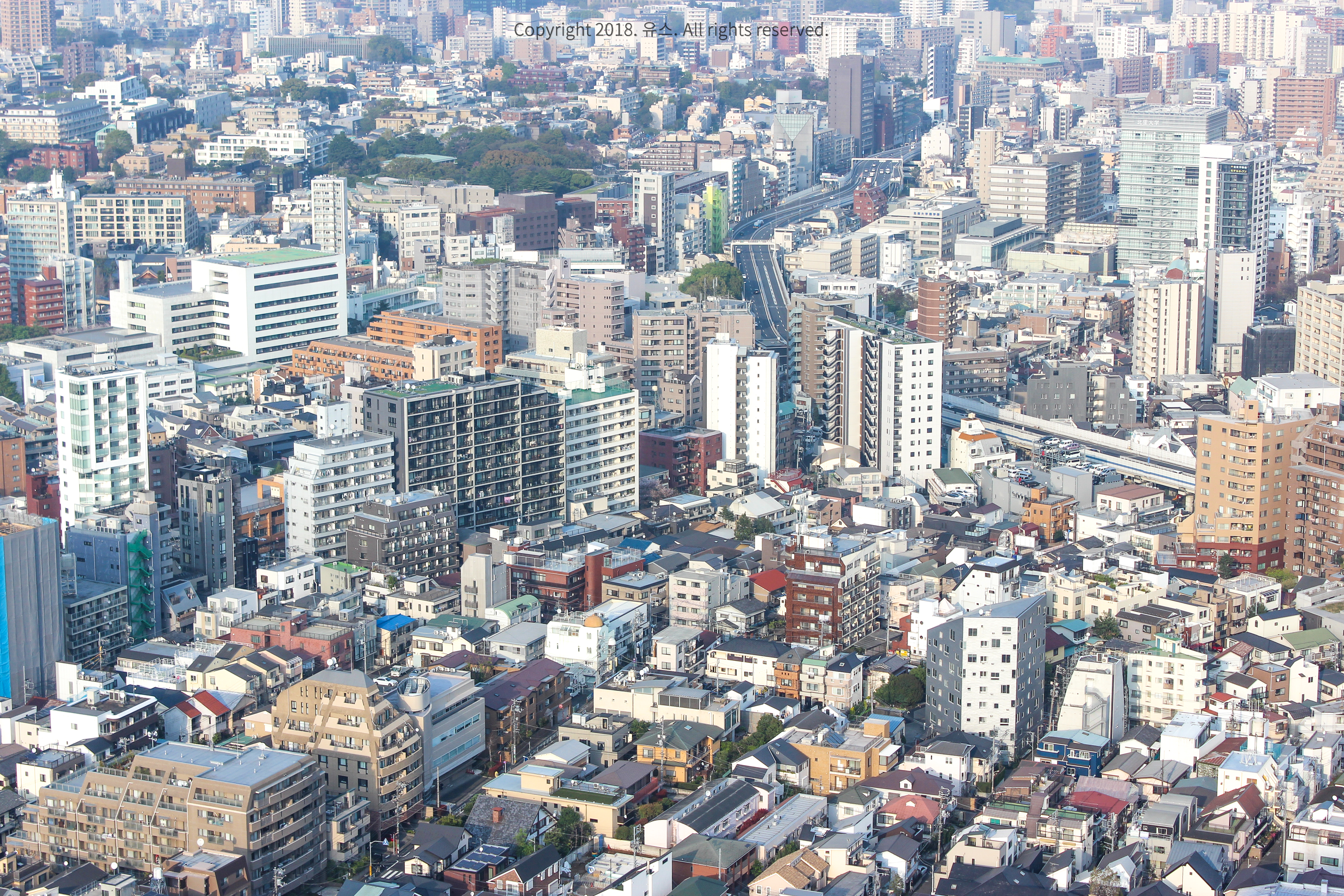 도쿄타워 사진