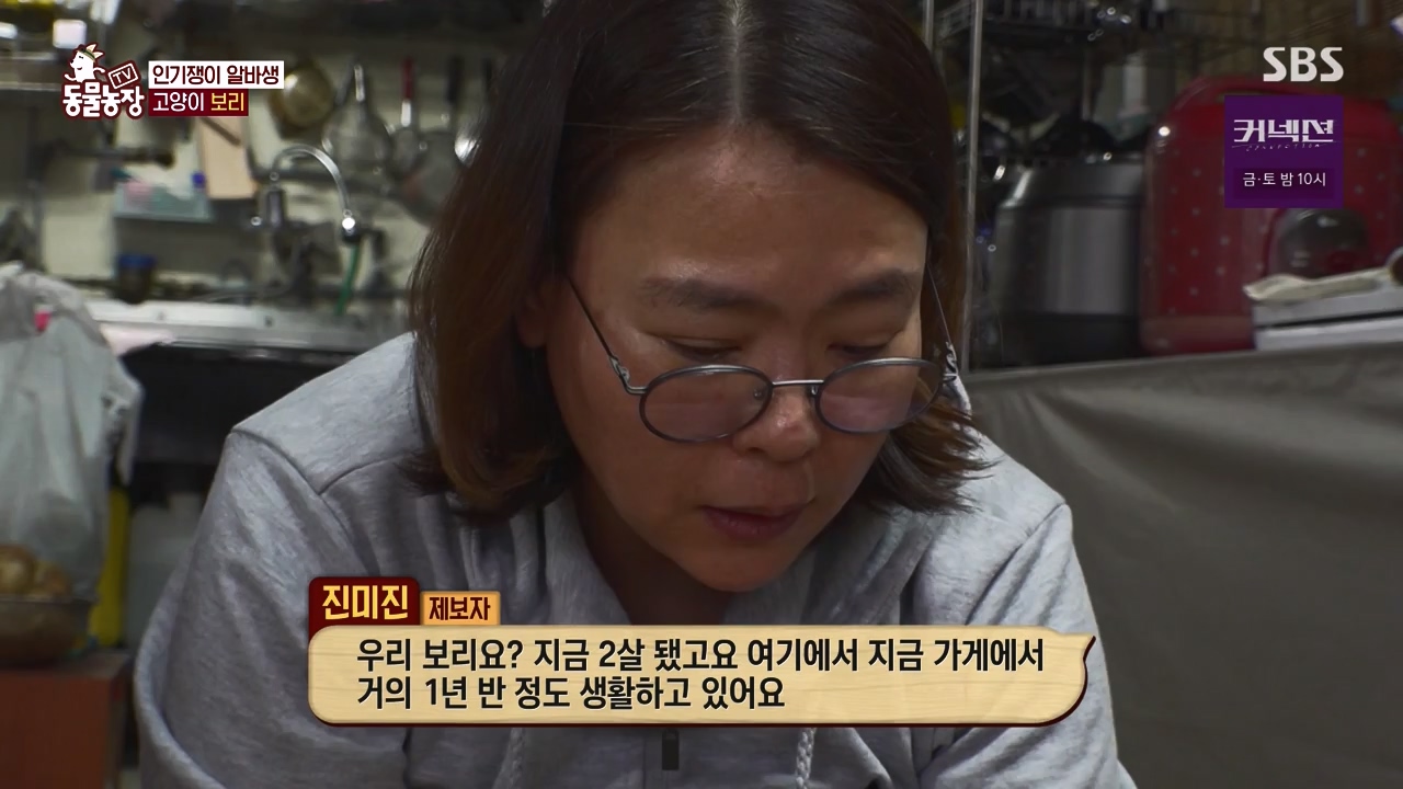 TV 동물농장.E1173.240527p-NEXT.mp4_20240526_155715.002.jpg