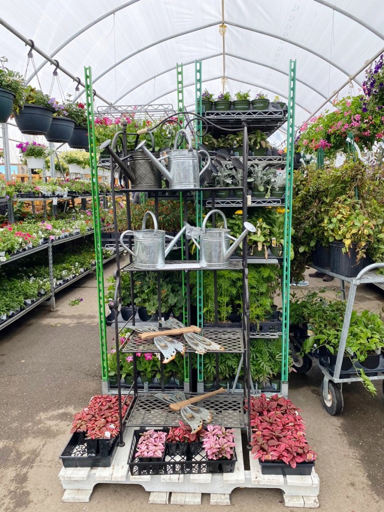 이름 가격도 같이 알아봐요. 예쁜 다육이 종류 18