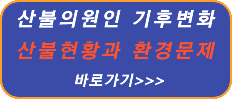 산불-원인-기후-변화-산불-현황-환경-문제