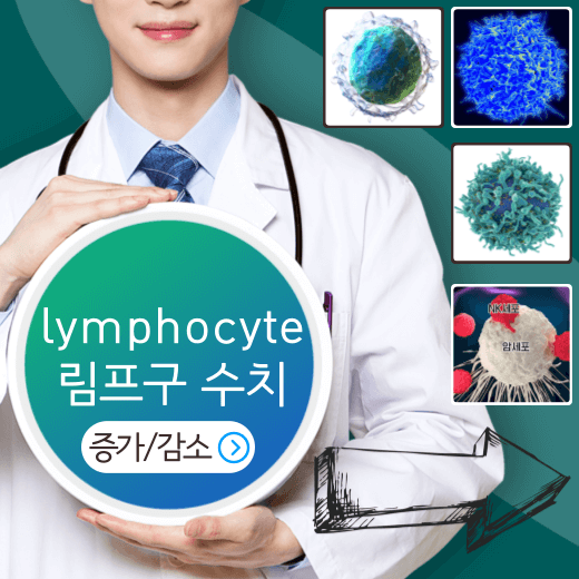 림프구-lymphocyte-수치-증가-감소-의미-바로알기
