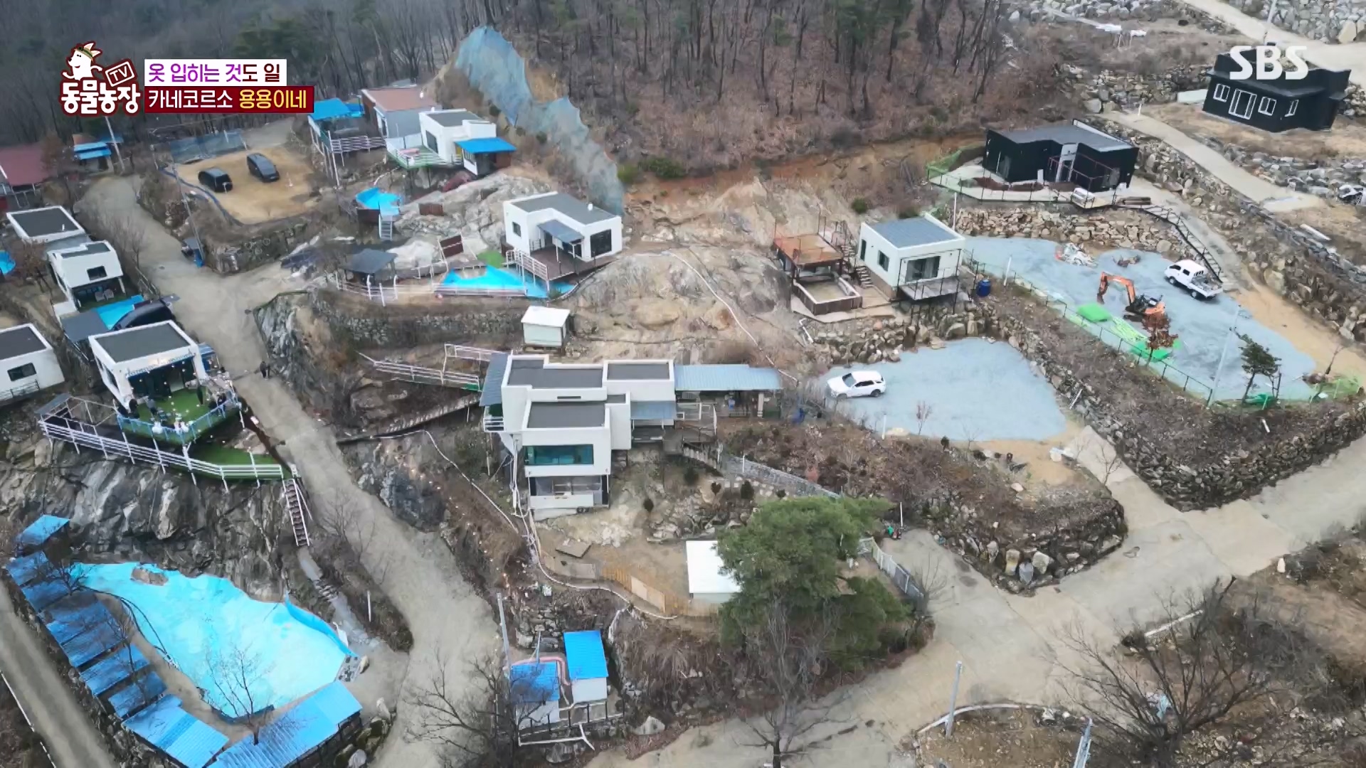 TV 동물농장.E1162.240310p-NEXT.mp4_20240310_162858.563.jpg