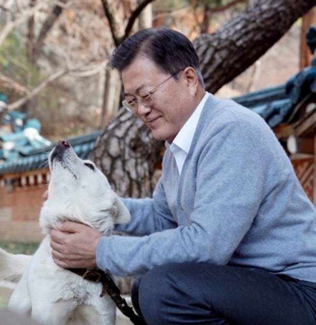  이슈 :: 문재인 전 대통령 북한에서 받은 풍산개 2마리 반환