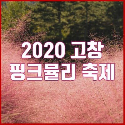 2020년 고창 핑크뮬리 축제 일정 안내