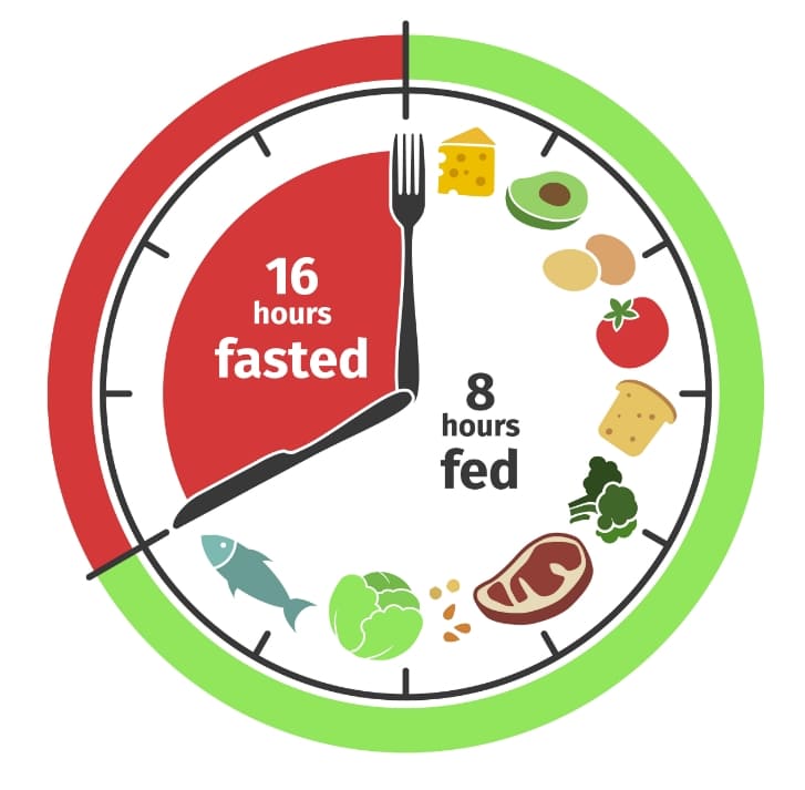  비만 당뇨 줄이는 또 하나의 방법: 간헐적 단식 A type of intermittent fasting reduces fluctuations in blood sugar levels