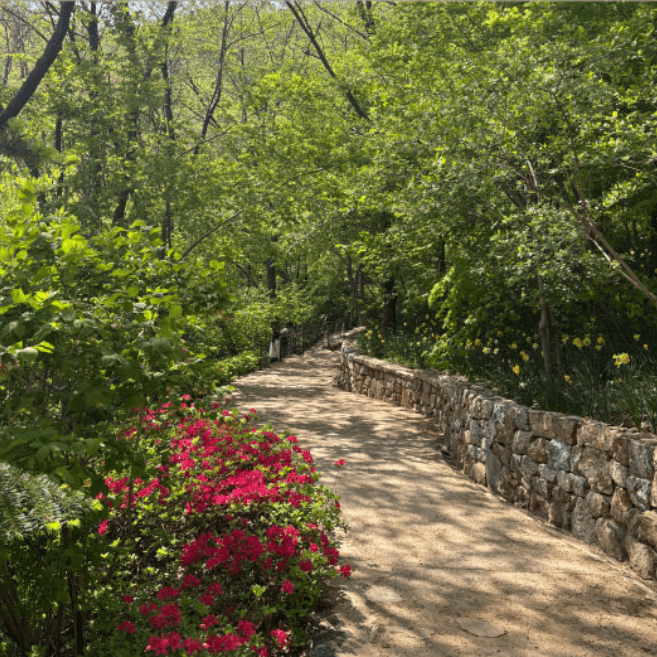 화담숲 예약방법 팁 총정리