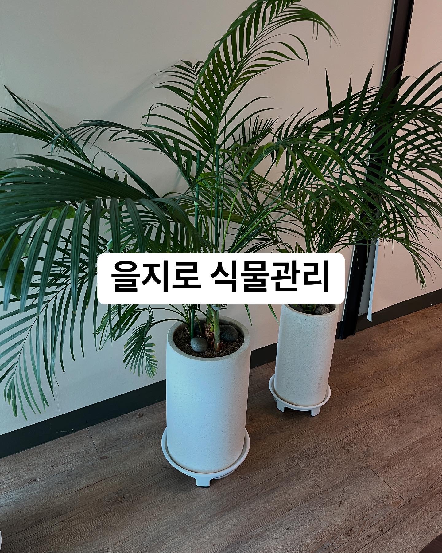 충무로 이미지