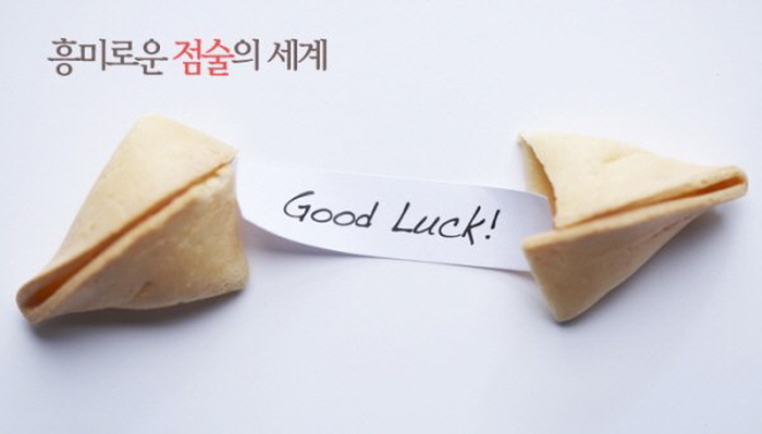다음 무료운세보기 2022년 무료운세보기 8