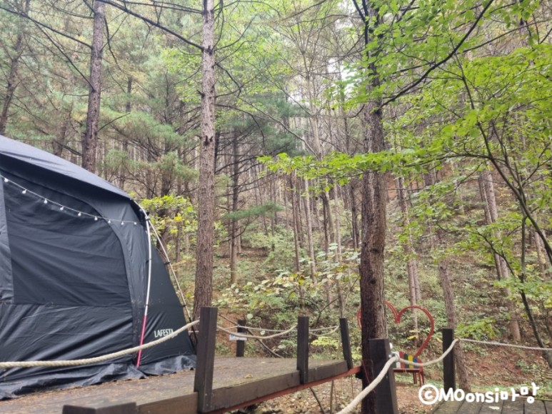 하늘그린캠프, 숲속의 32