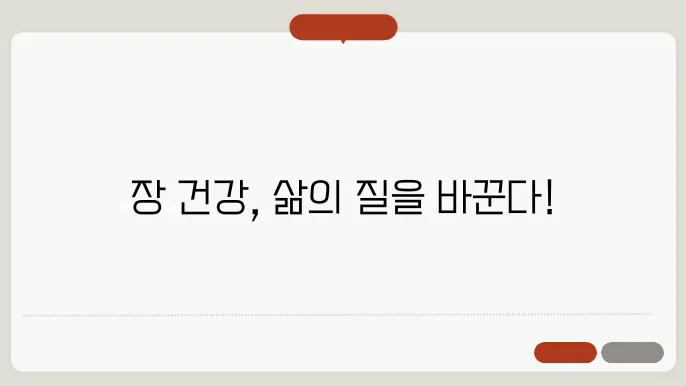 효과적인 장 영양제 개선 사례