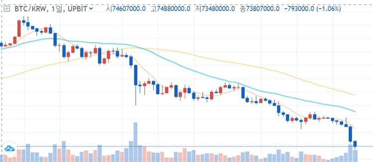 비트코인 일봉 차트