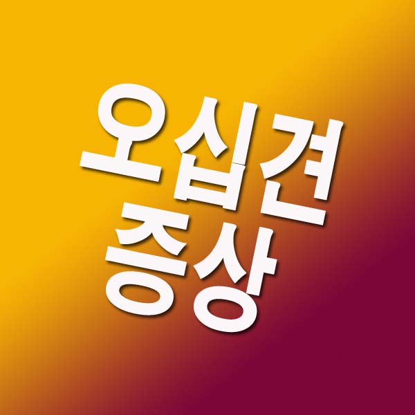  오십견 증상 및 치료방법
