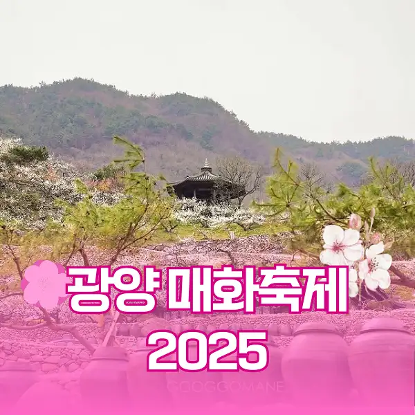 광양 매화축제 2025