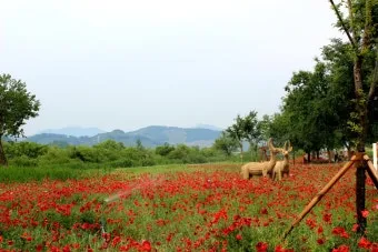 5월 경남 부산 근교 가볼만한곳 베스트10 명소_9