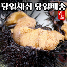  입 안에 바다향이 물씬~ '성게알', 추천상품정보+구매후기리뷰