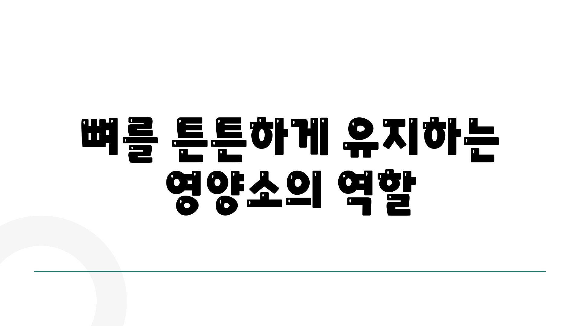 뼈를 튼튼하게 유지하는 영양소의 역할