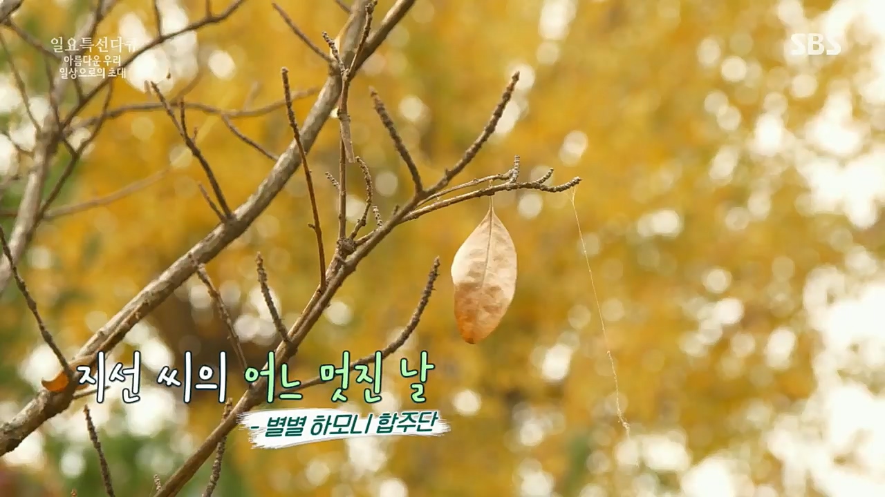 일요 특선 다큐멘터리.E299.221212p.H264-F1RST.mp4_20221212_200754.725.jpg
