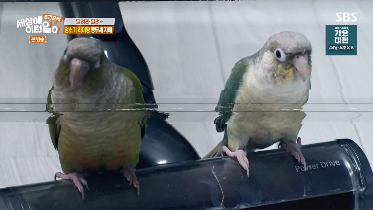 순간포착 세상에 이런일이.E1256.231217p-NEXT.mp4_20231217_175008.368.jpg