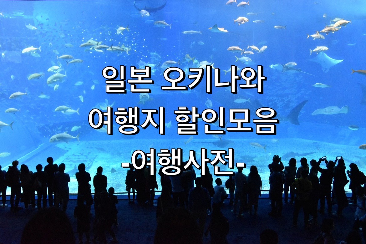  알뜰하게 오키나와 여행하는법