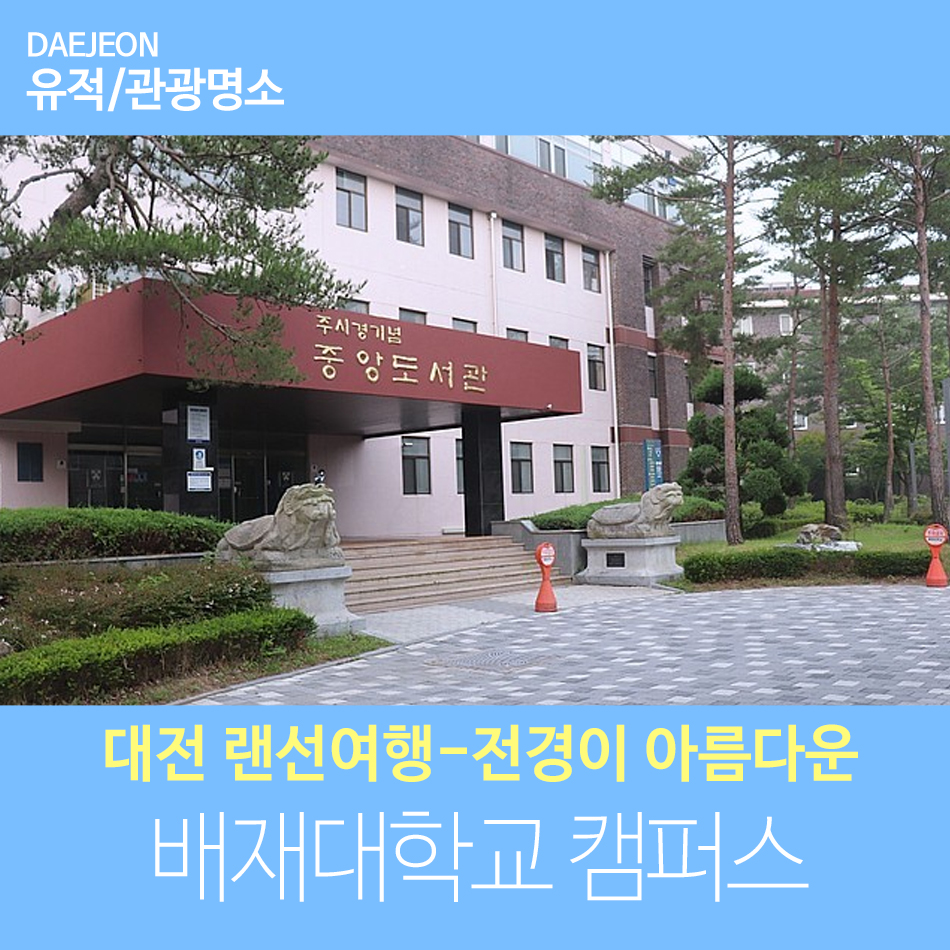 아름다운 배재대학교 캠퍼스 대전 랜선여행-전경이 15