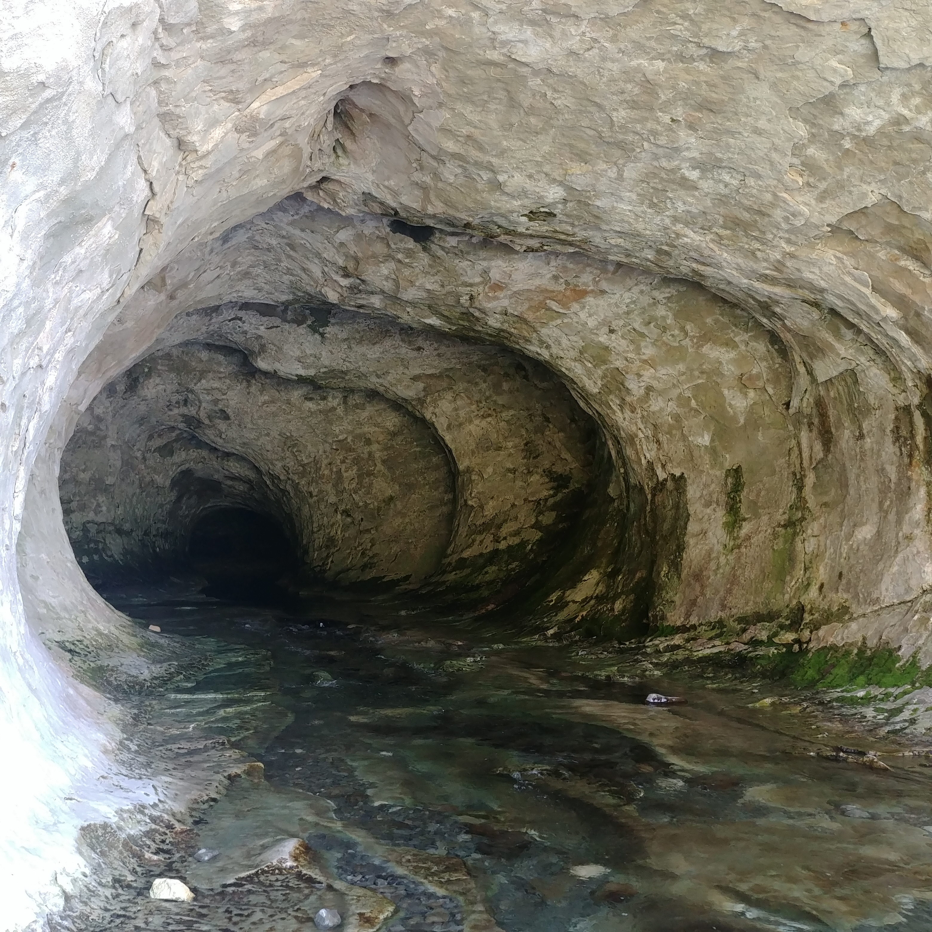 Cave Stream Scenic Reserve