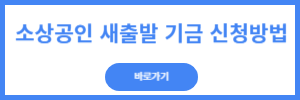 소상공인 정책자금