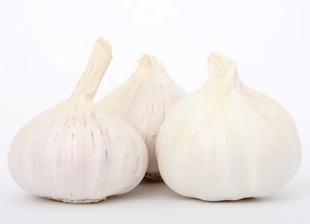 알마늘 장아찌 담는법 깐마늘 깐마늘지_9