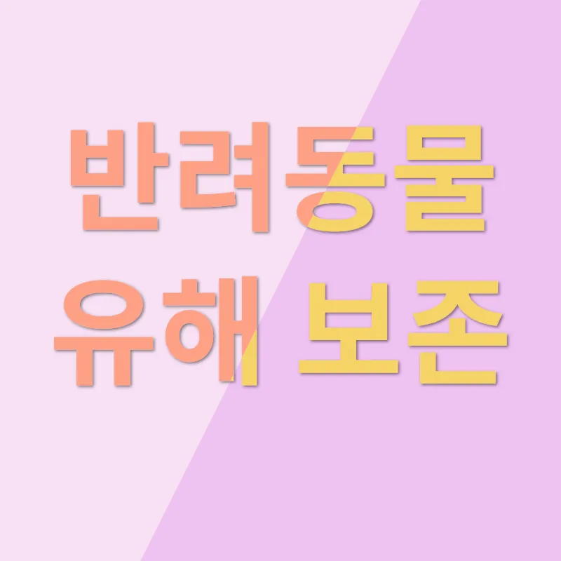 반려동물 화장_3