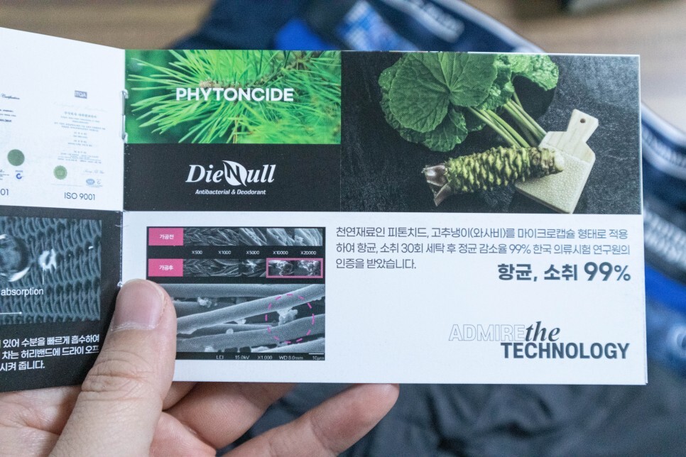 팬티