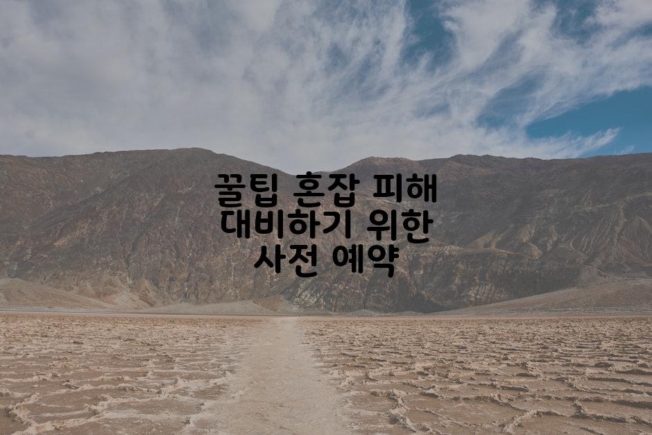 꿀팁 혼잡 피해 대비하기 위한 사전 예약