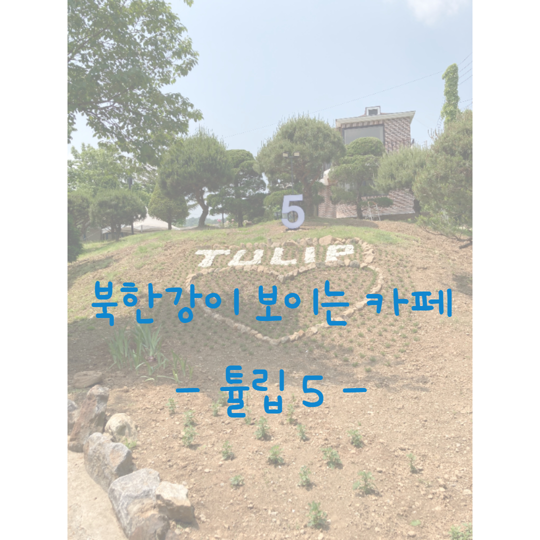  지빈파파의 가족과 음악 이야기