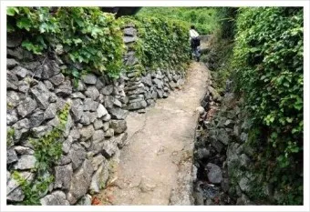 손죽도 배편 시간표 예매 요금_10