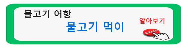 물고기 어항 ; 물고기 먹이를 알아보기 집에서 물고기 키우기: 초보자를 위한 기초 가이드