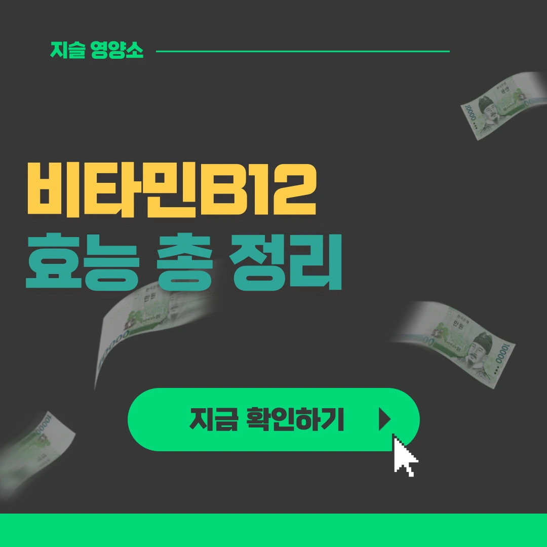  [보기쉬운] 비타민B 비타민B12 효능
