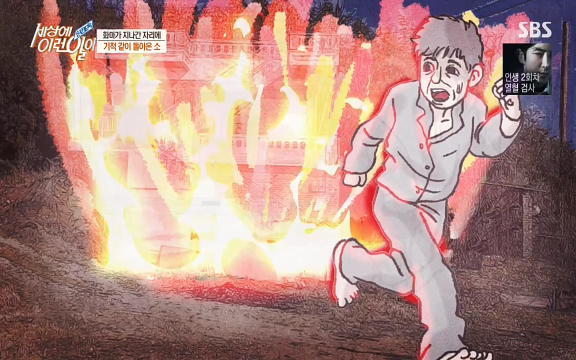 순간포착 세상에 이런일이.E1174.220406p-NEXT.mp4_20220406_174456.327.jpg