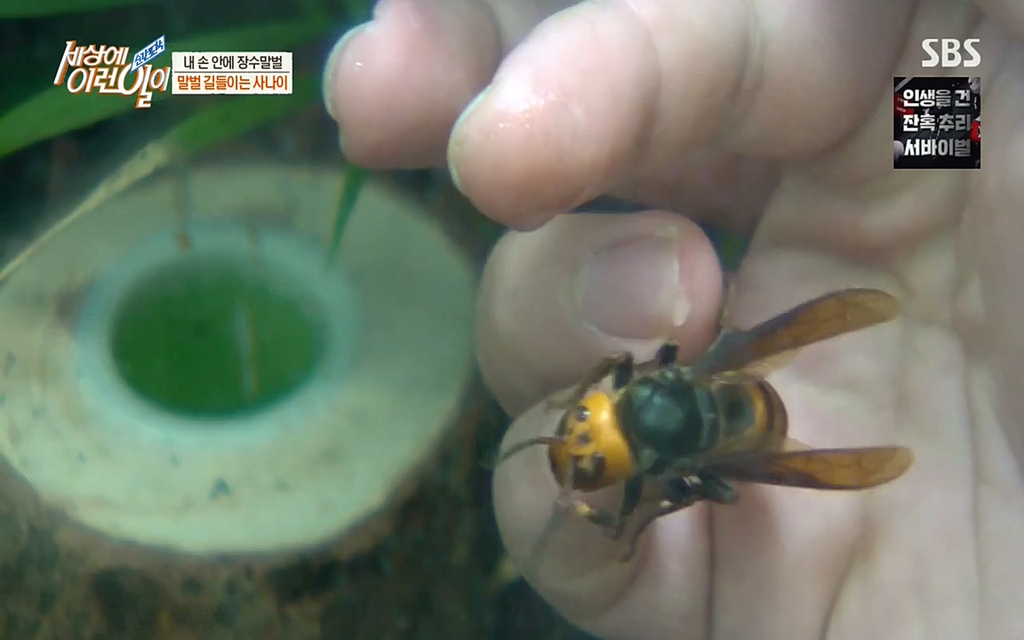 순간포착 세상에 이런일이.E1180.220518p-NEXT.mp4_20220518_181616.885.jpg
