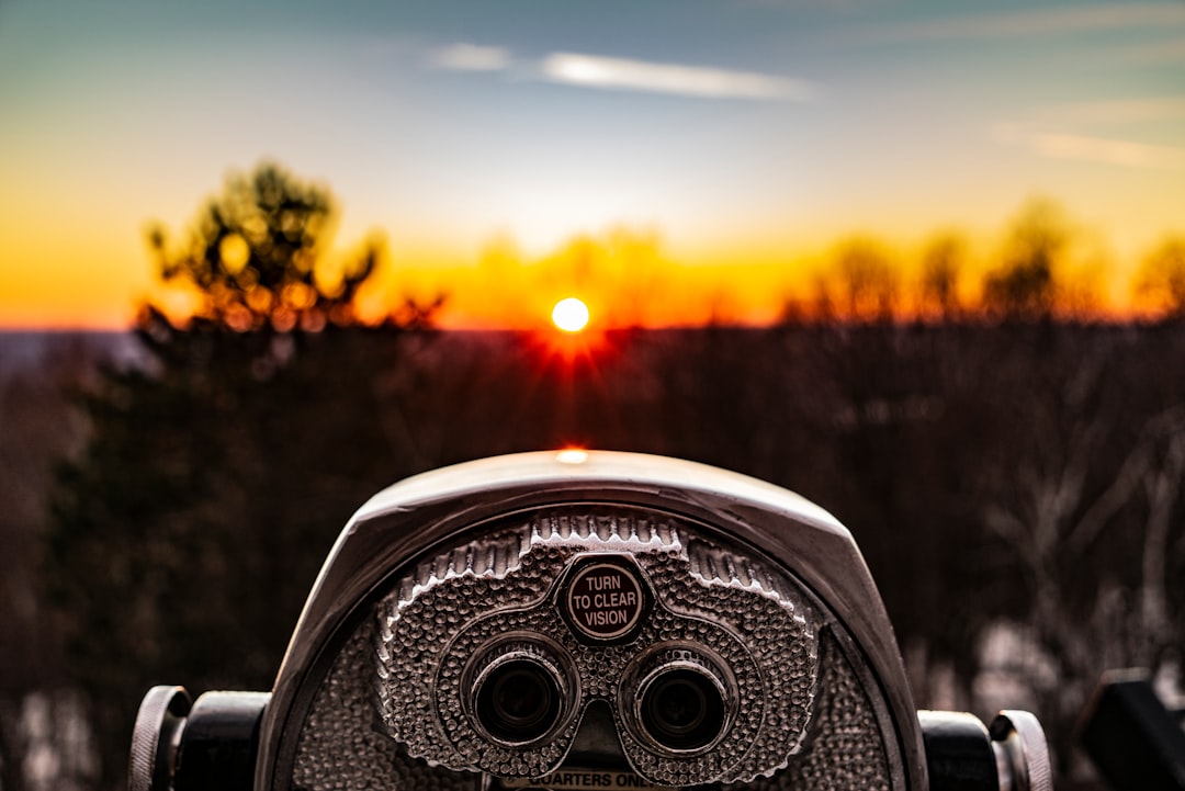Vision