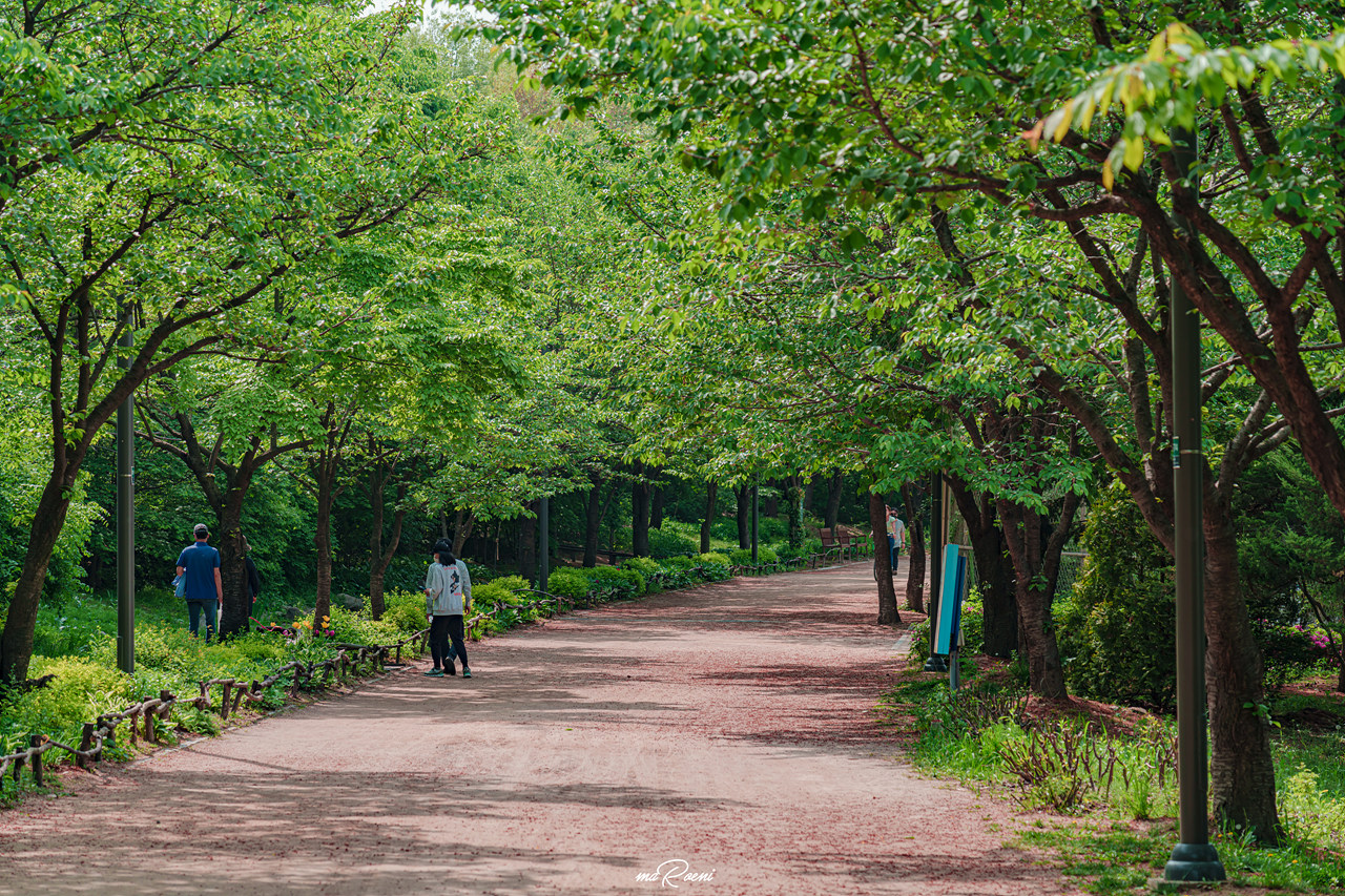 서울숲