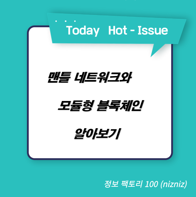  맨틀 네트워크와 모듈형 블록체인 알아보기