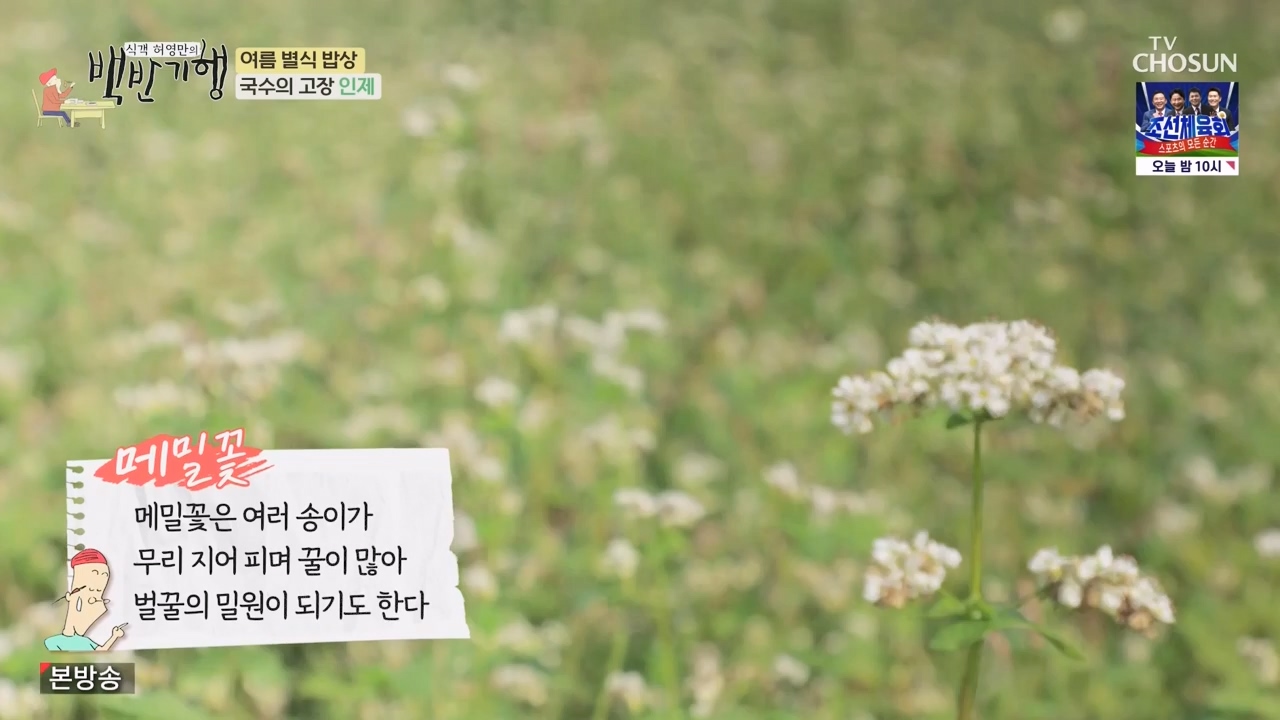 식객 허영만의 백반기행.E212.230819p-NEXT.mp4_20230819_165928.095.jpg